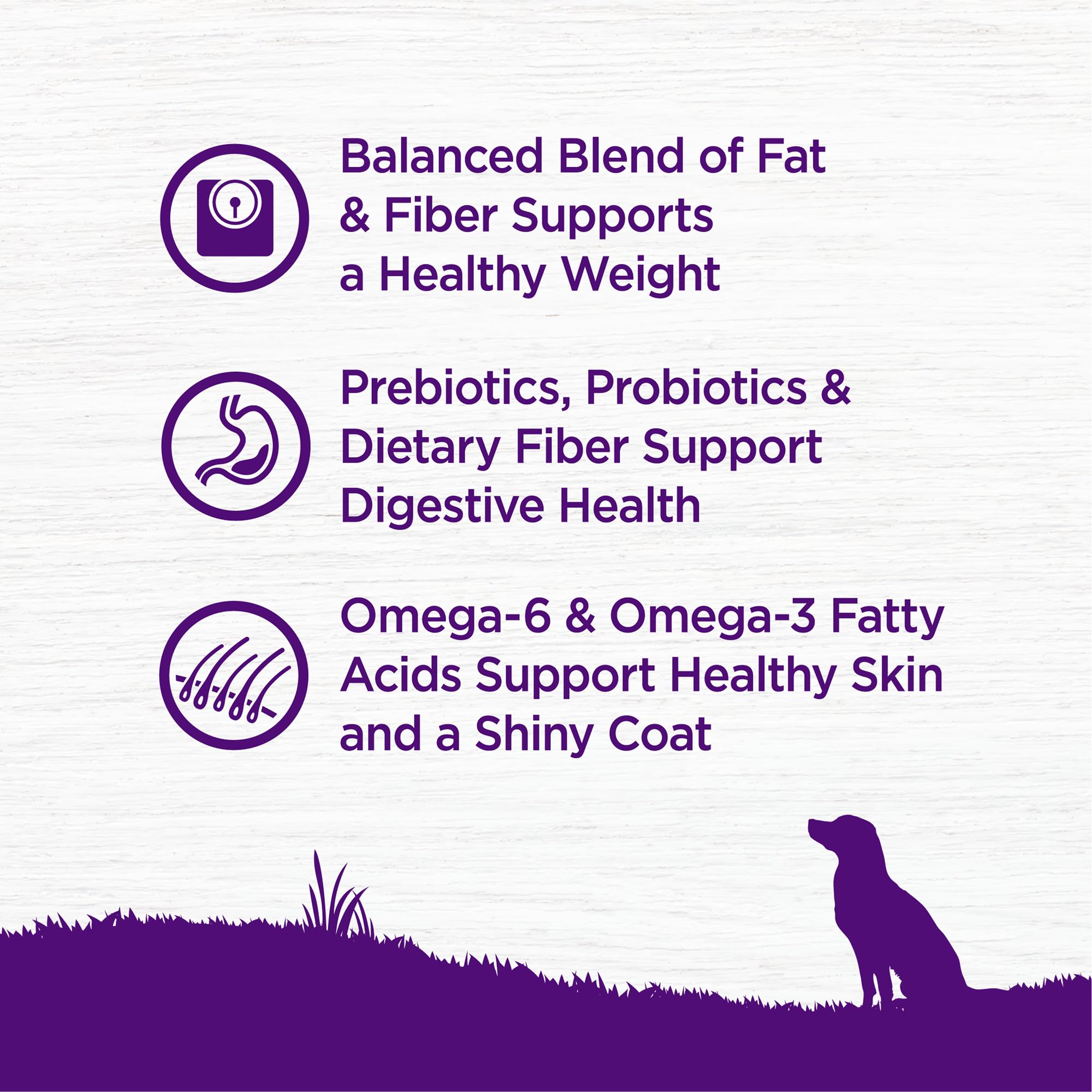 Wellness Complete Health Dry Dog Food, Wholesome Grains, Natural, Healthy Weight Chicken & Peas Recipe, (5-Pound Bag)