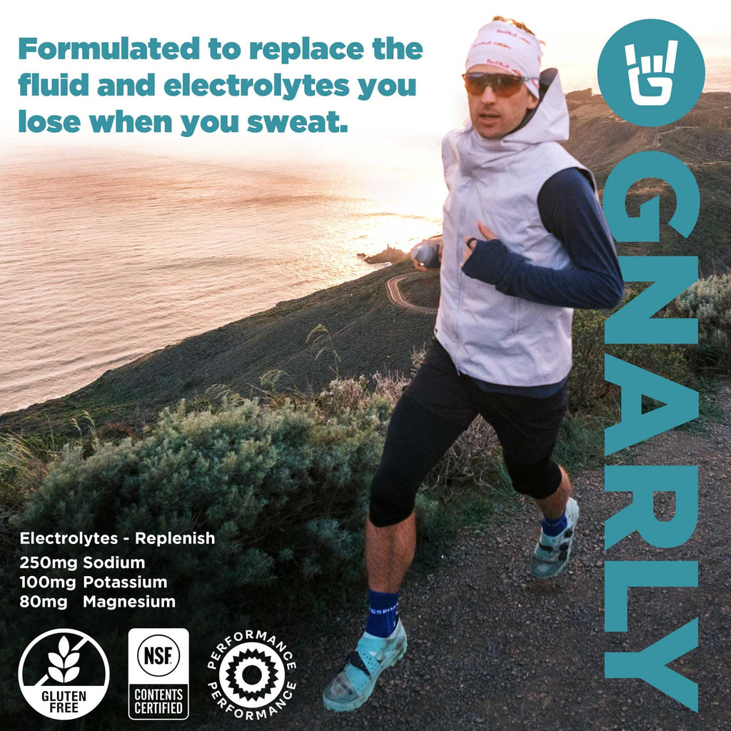 Gnarly Nutrition Hydrate Electrolyte Powder – Pina Colada Exercise Hydration Drink Mix – NSF Contents Certified – Electrolyte Solution, Performance & Recovery – Pina Colada, 14.10 oz