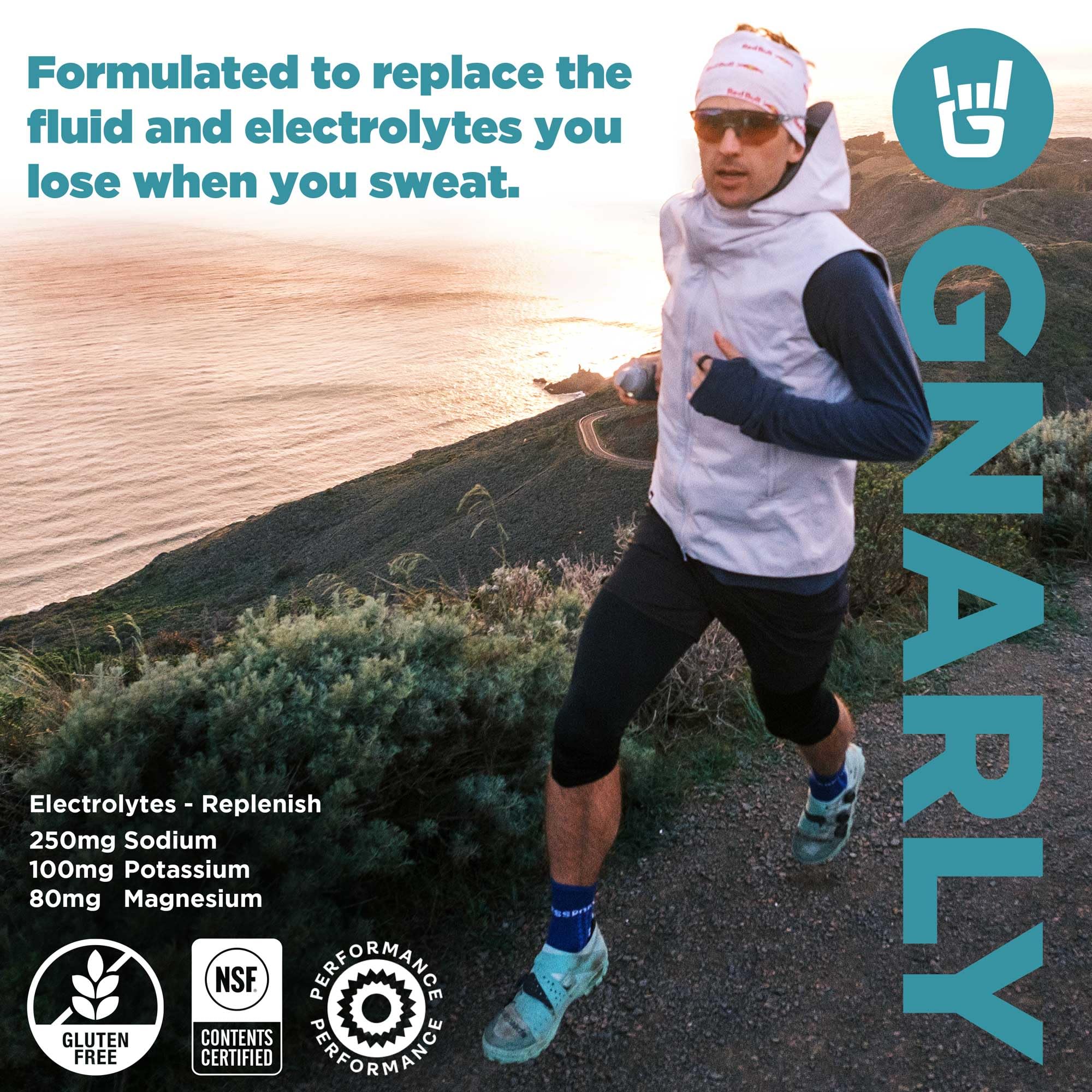 Gnarly Nutrition Hydrate Electrolyte Powder – Pina Colada Exercise Hydration Drink Mix – NSF Contents Certified – Electrolyte Solution, Performance & Recovery – Pina Colada, 14.10 oz