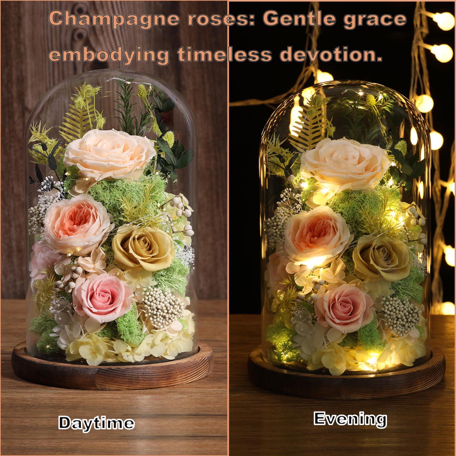 lovenfold Flowers for Delivery Preserved Flowers Rose in Glass Dome,Champagne Rose Forever Flowers Birthday Gifts for Women Mom Grandma Friend Gifts for Her,Home Decor