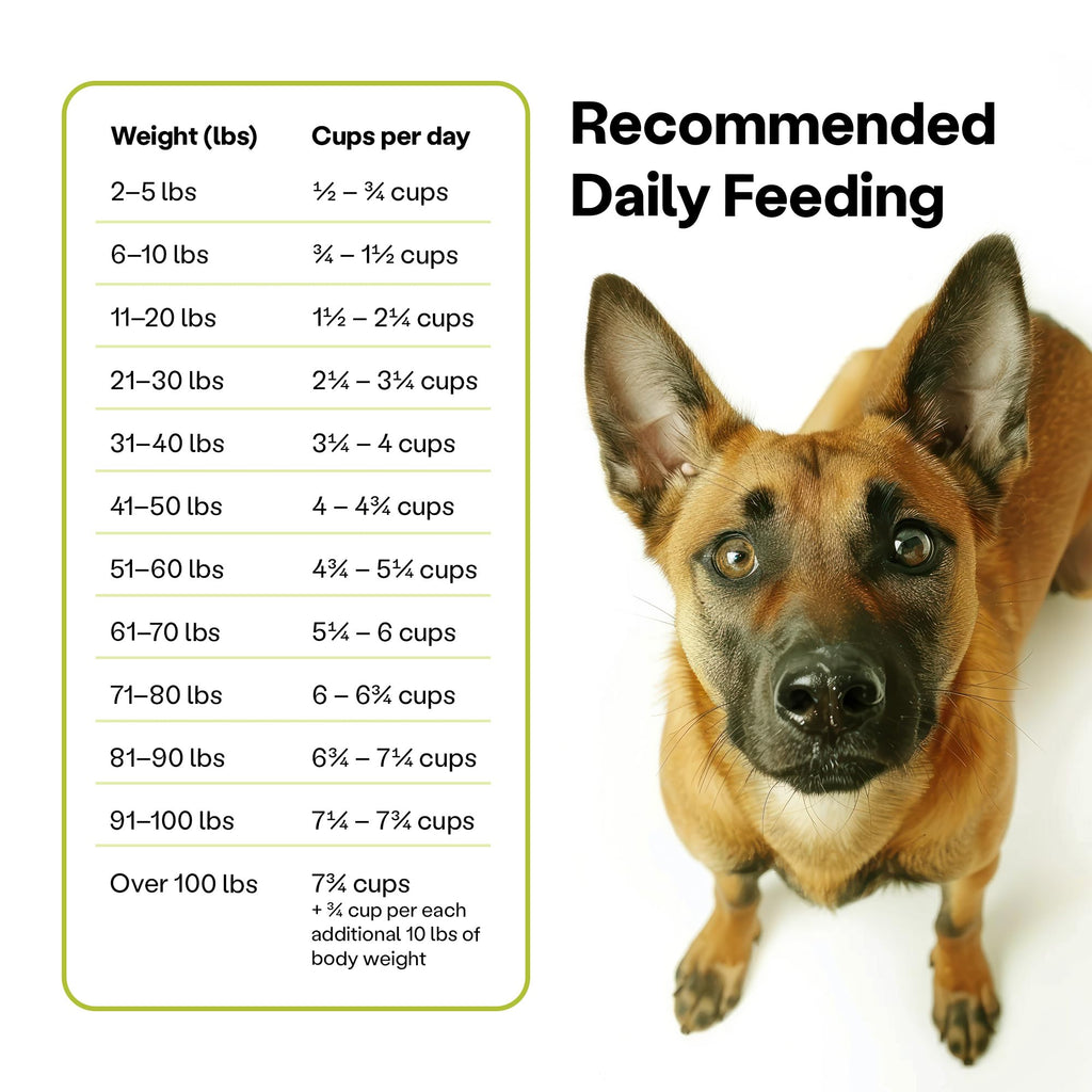 Wild Earth Vegan Dry Dog Food Performance Formula | Plant-Based Vegetarian Kibble | Wheat-Free, Allergen-Free, Veterinarian-Developed | Veggie Supreme Flavor, 18lb Bag