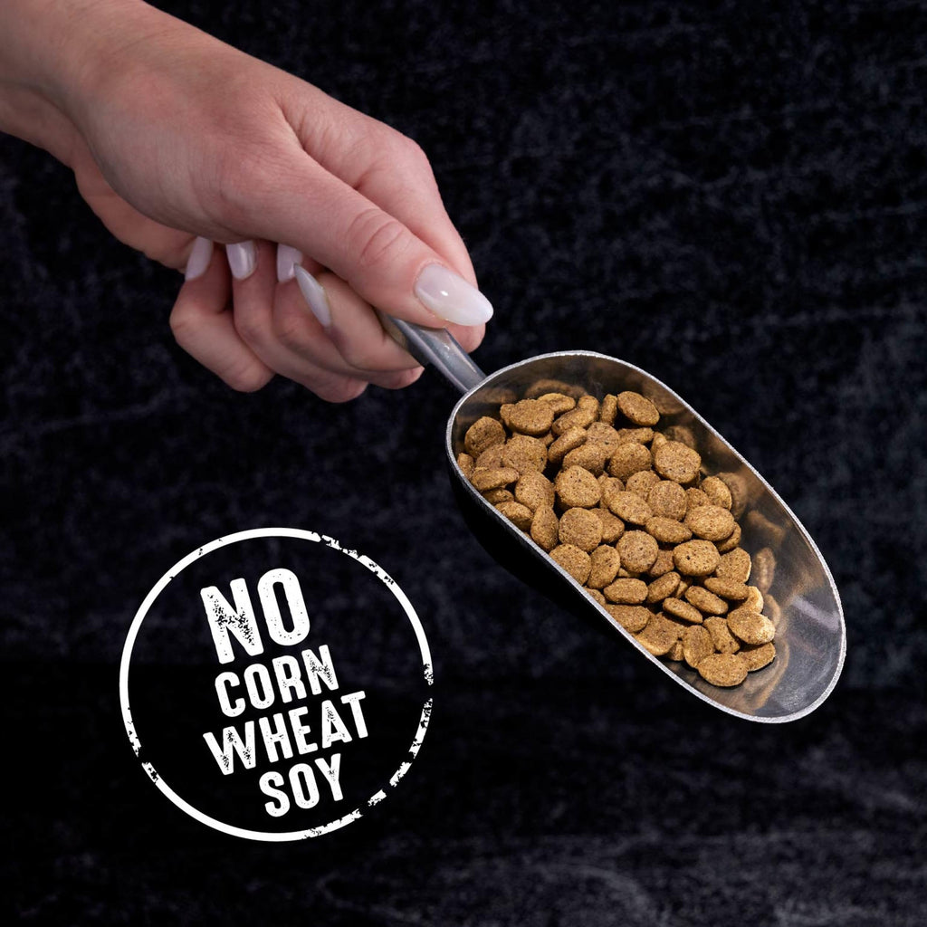 Crave Indoor Grain Free Dry Cat Food with Protein From Chicken and Salmon 10lb.