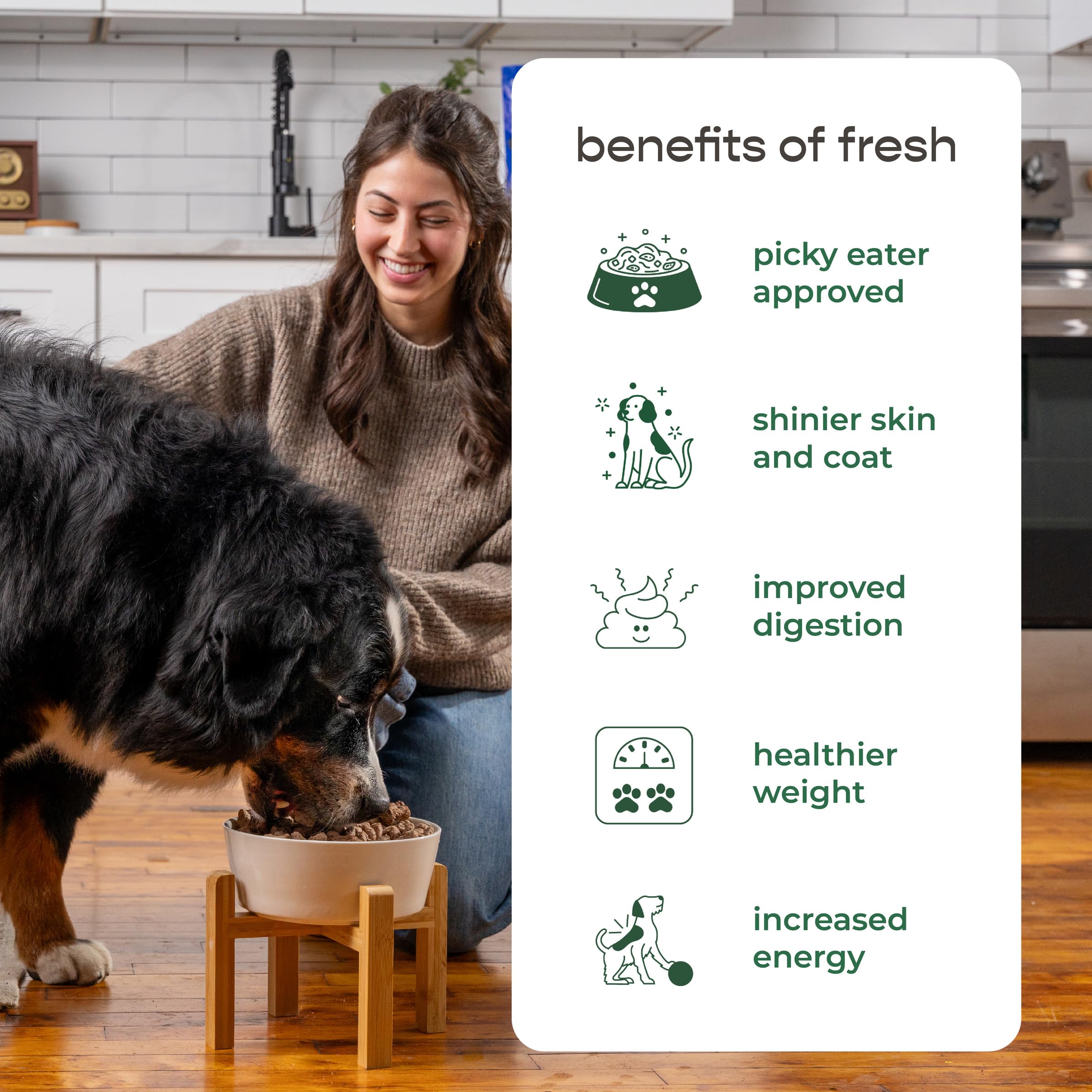 Freshpet Fresh Dog Food, Large Dog Multi-Protein: Chicken, Beef, Egg & Salmon Recipe, 5 lb.