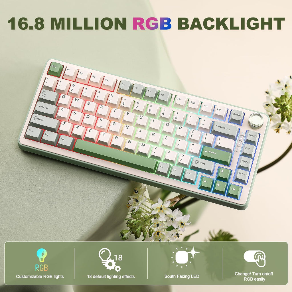 YUNZII B75 PRO Wireless Mechanical Keyboard,75% Layout with Knob,Hot Swap Gasket Structure,Creamy Pre-lubed Switches,RGB Backlit,Bluetooth/Type-C/2.4G for Win/Mac (Matcha Green, Cocoa Cream V2 Switch)