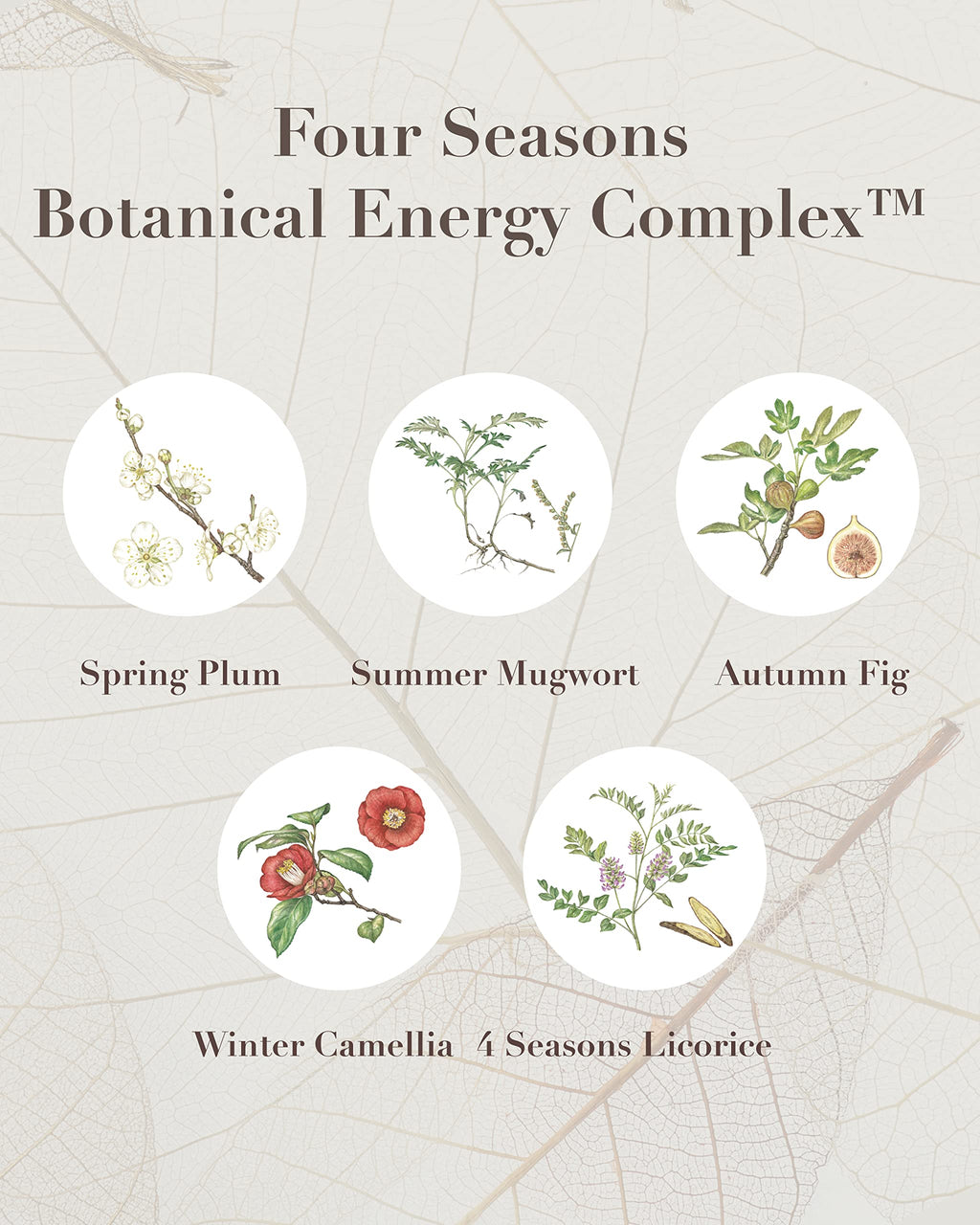 Sooryehan THE SAGA OF SOO Botanical Energy Multi Stick (10 g / 0.35 Fl Oz) - Skin Care Balm by LG BEAUTY. Sensitive Skin.