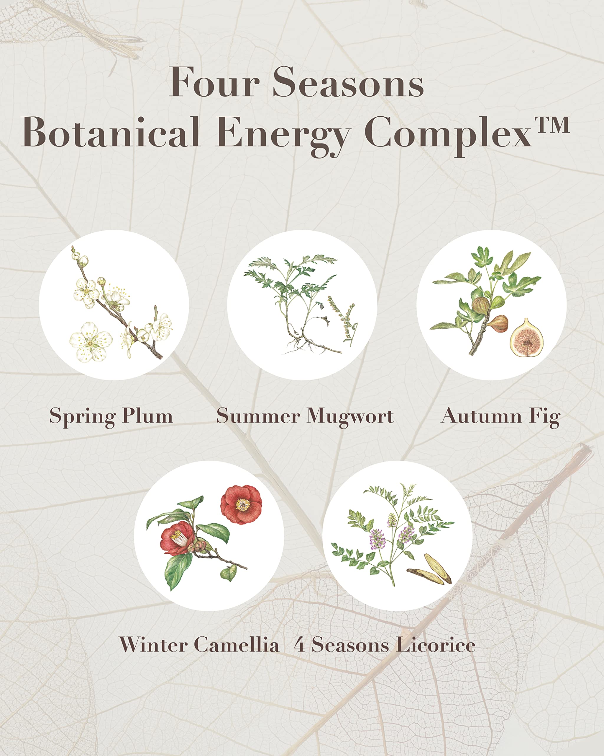 Sooryehan THE SAGA OF SOO Botanical Energy Multi Stick (10 g / 0.35 Fl Oz) - Skin Care Balm by LG BEAUTY. Sensitive Skin.