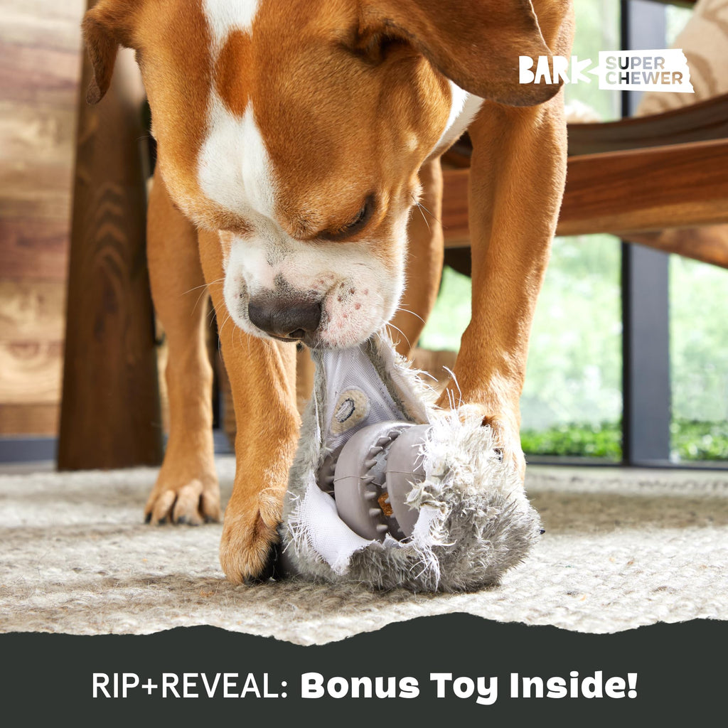 Barkbox Super Chewer Tough Dog Chew Toys for Aggressive Chewers, Plush 2 Toys in 1 (Hare Raiser - Large)