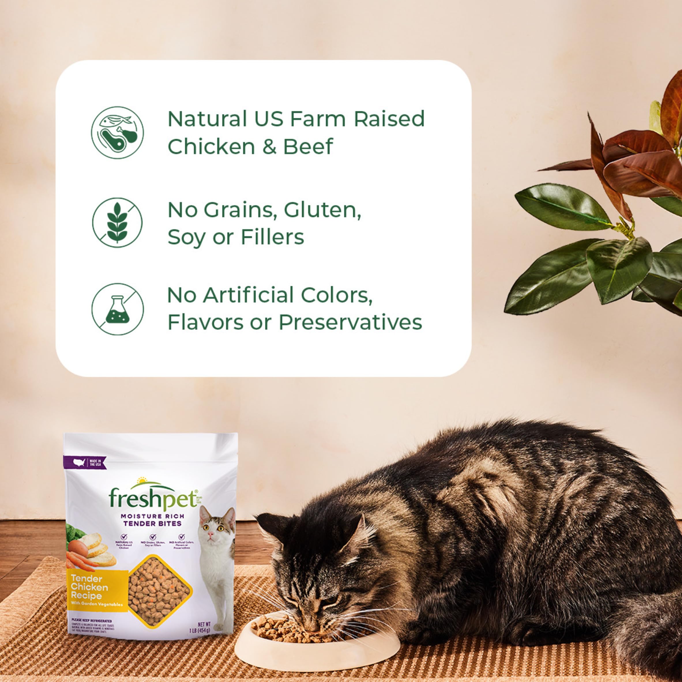 Select Freshpet Chicken & Cat Food, 1 Pound Beef, 16 Ounce