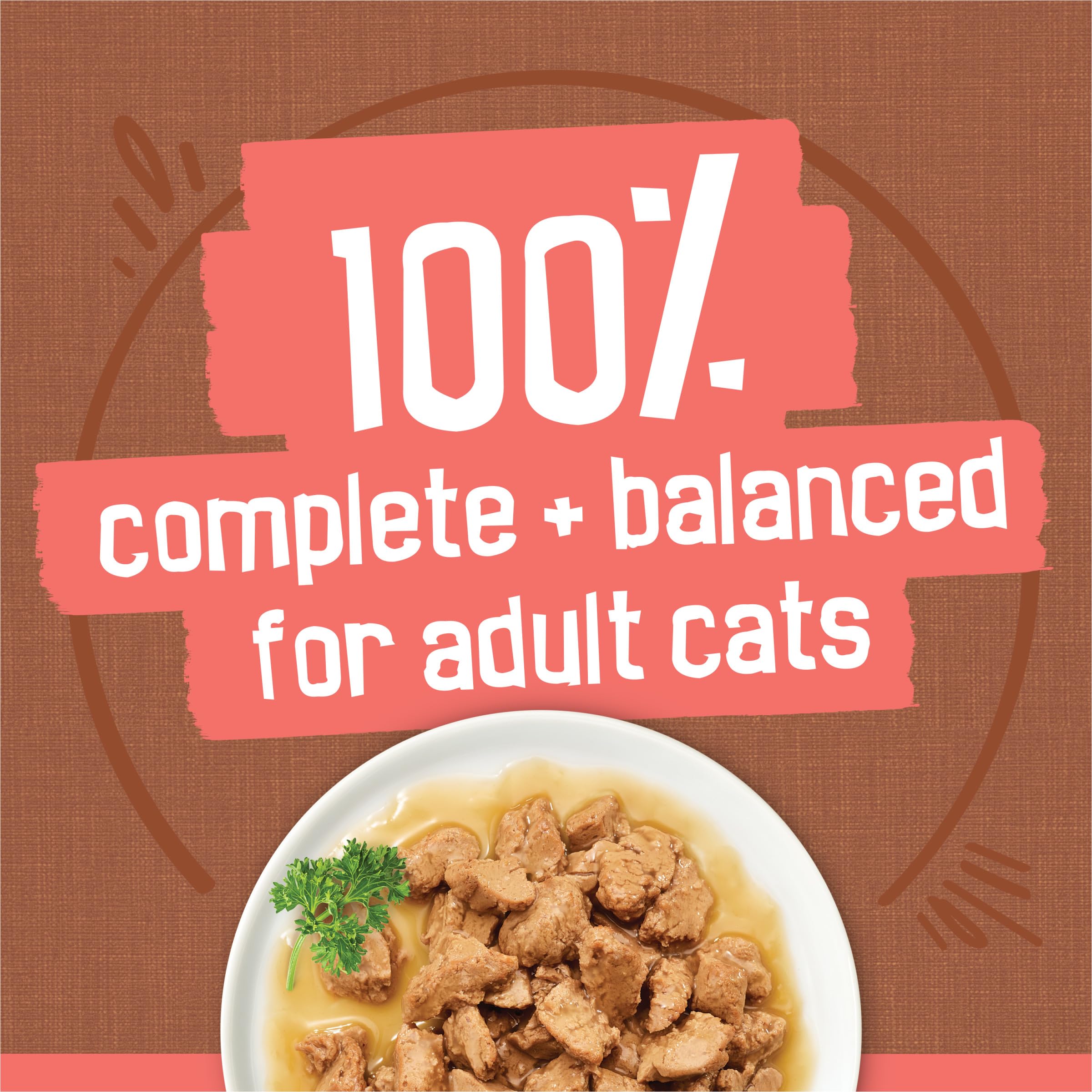 Friskies Purina Extra Gravy Wet Cat Food Chunky Variety Pack (with Chicken,Turkey,Salmon,Beef) - 5.5 oz. Cans,(Pack of 48)