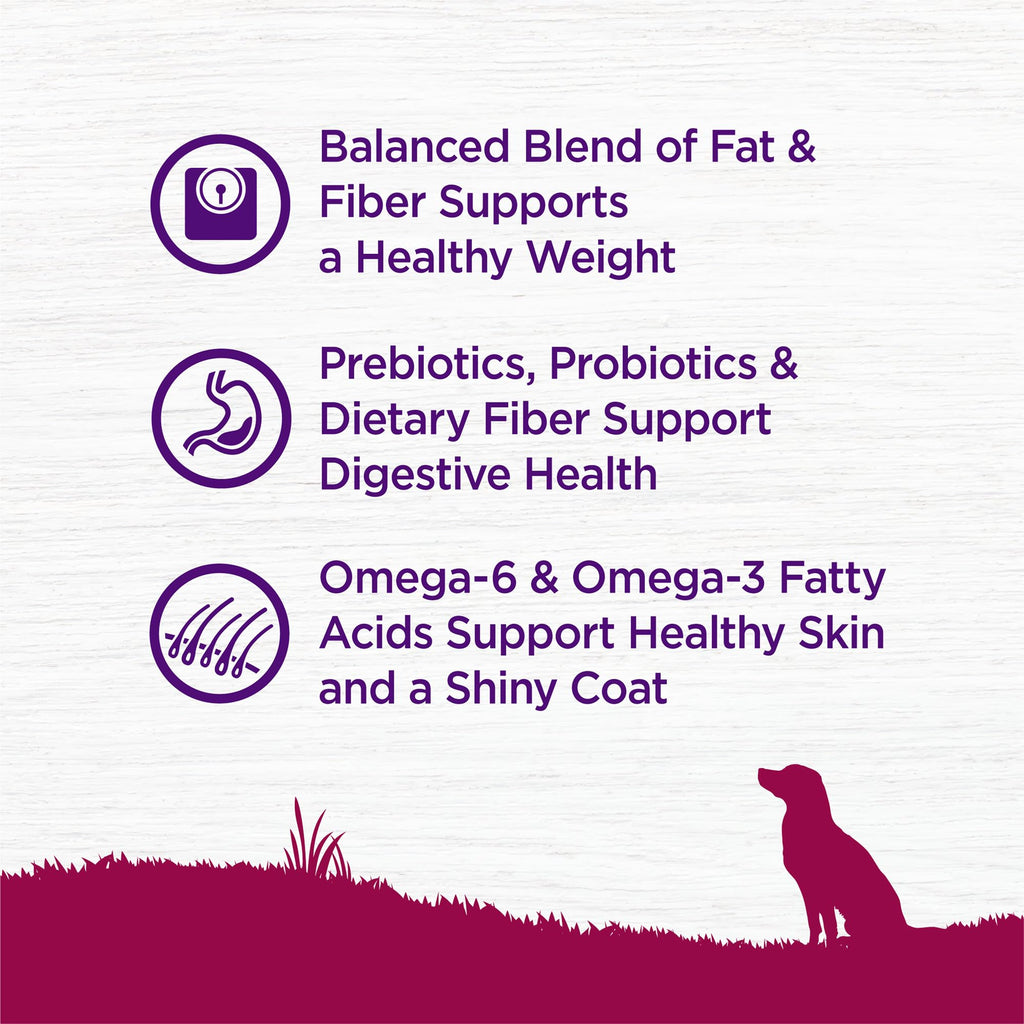 Wellness Complete Health Dry Dog Food, Small Breed, Wholesome Grains, Natural, Healthy Weight Turkey & Brown Rice Recipe, (4-Pound Bag)