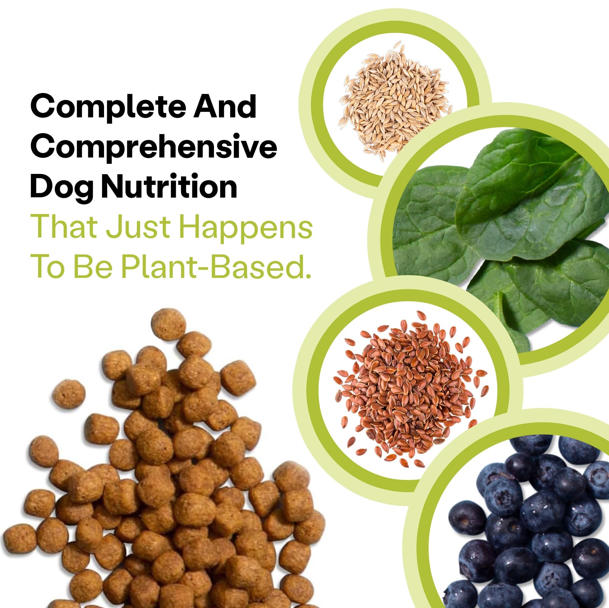 Wild Earth Vegan Dry Dog Food Performance Formula | Plant-Based Vegetarian Kibble | Wheat-Free, Allergen-Free, Veterinarian-Developed | Veggie Supreme Flavor, 18lb Bag
