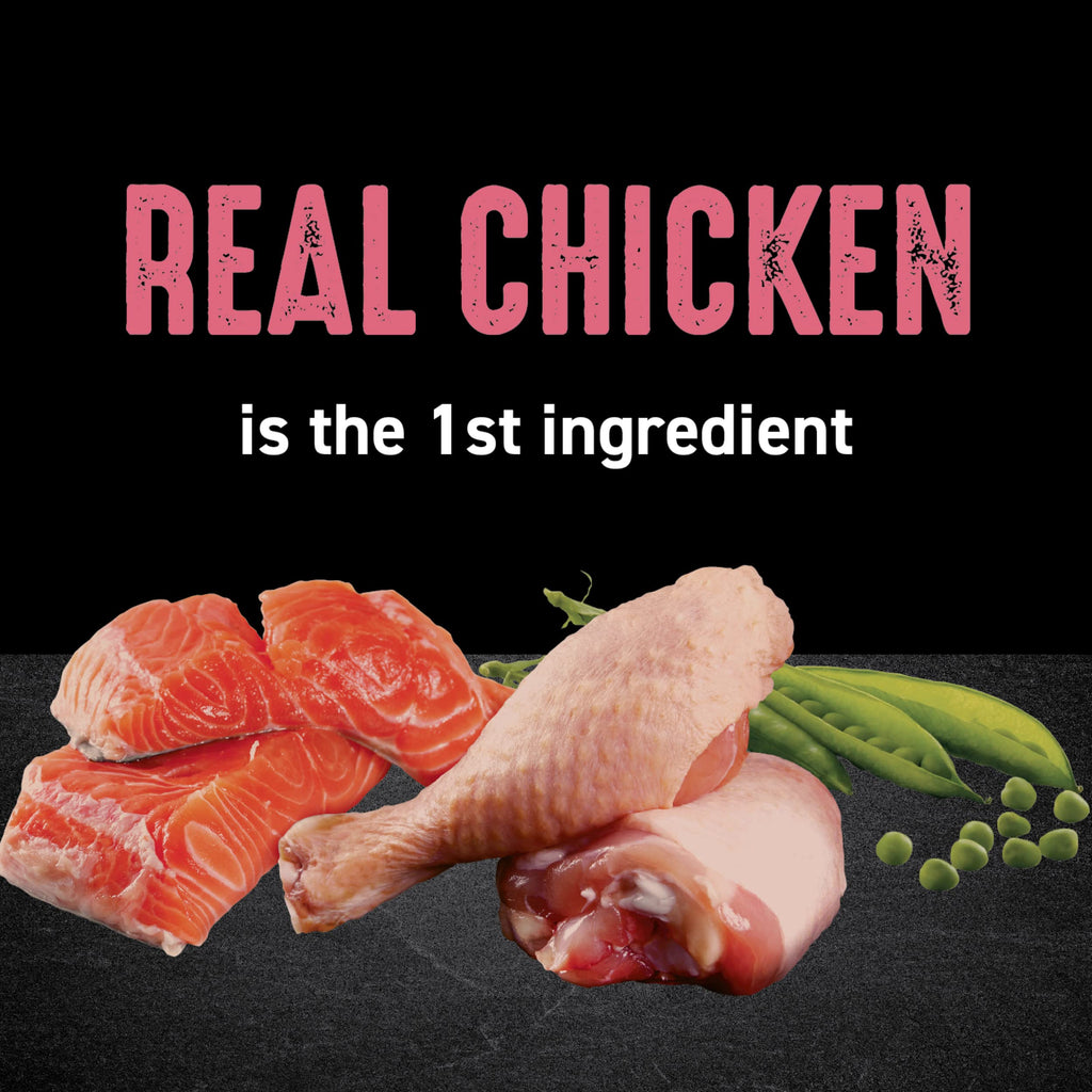 Crave Indoor Grain Free Dry Cat Food with Protein From Chicken and Salmon 10lb.