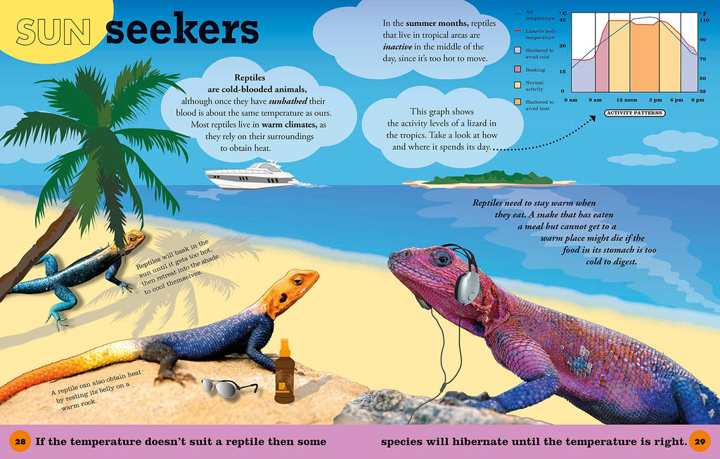 Everything You Need to Know About Frogs and Other Slippery Creatures