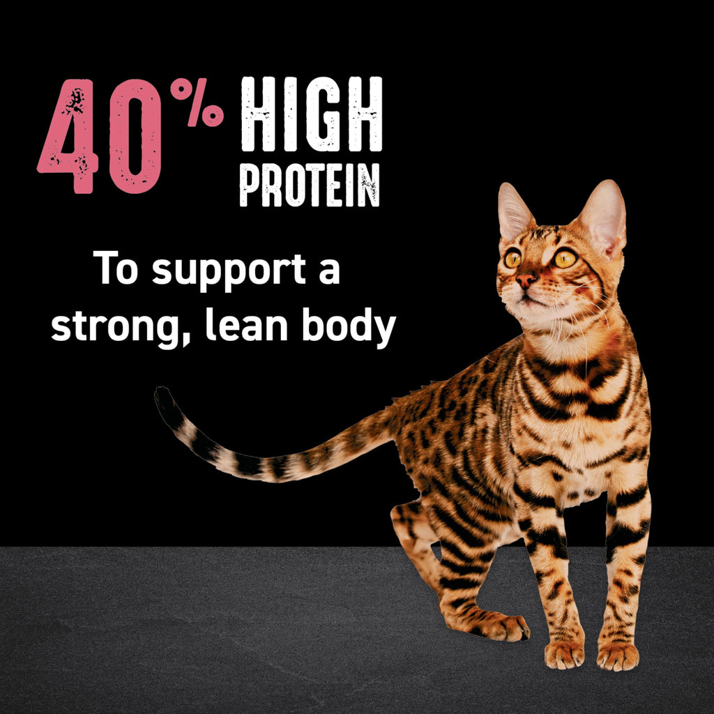 Crave Indoor Grain Free Dry Cat Food with Protein From Chicken and Salmon 10lb.