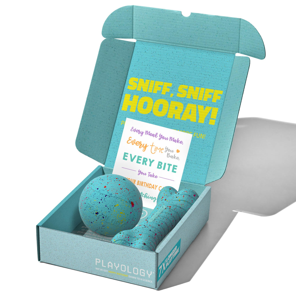 Playology Dog Toys | Birthday Box for Large Dogs | Peanut Butter Birthday Cake Scented Jumbo Gift Bundle | 1 Squeaky Chew Ball, 1 Dual Layer Bone, & 1 Doggy Bday Card