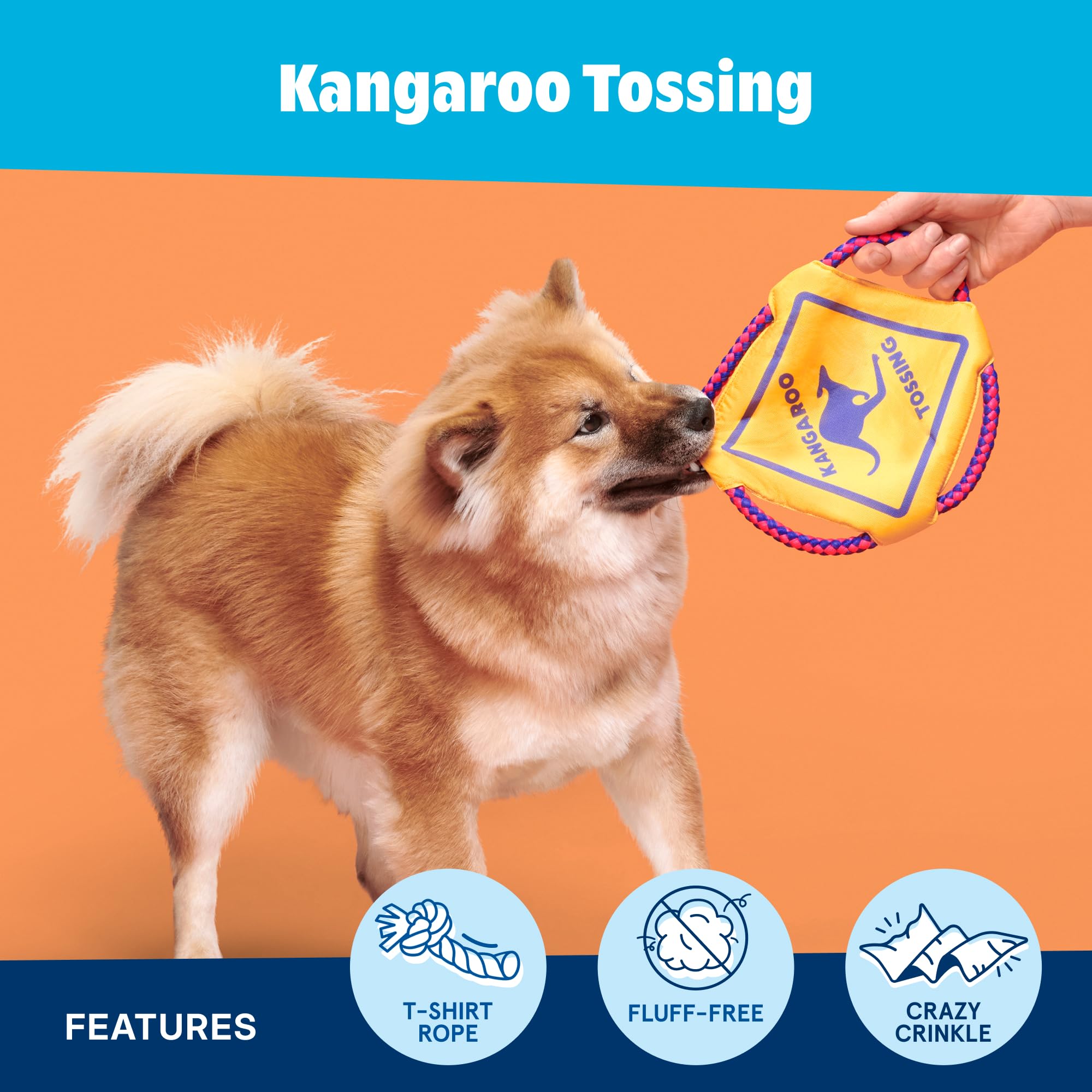 Barkbox Kangaroo Tossing Flying Disc Dog Toy | Fluff-Free Crinkle Disc with T-Shirt Rope Edge | Durable Fetch & Tug Toy for Dogs & Puppies