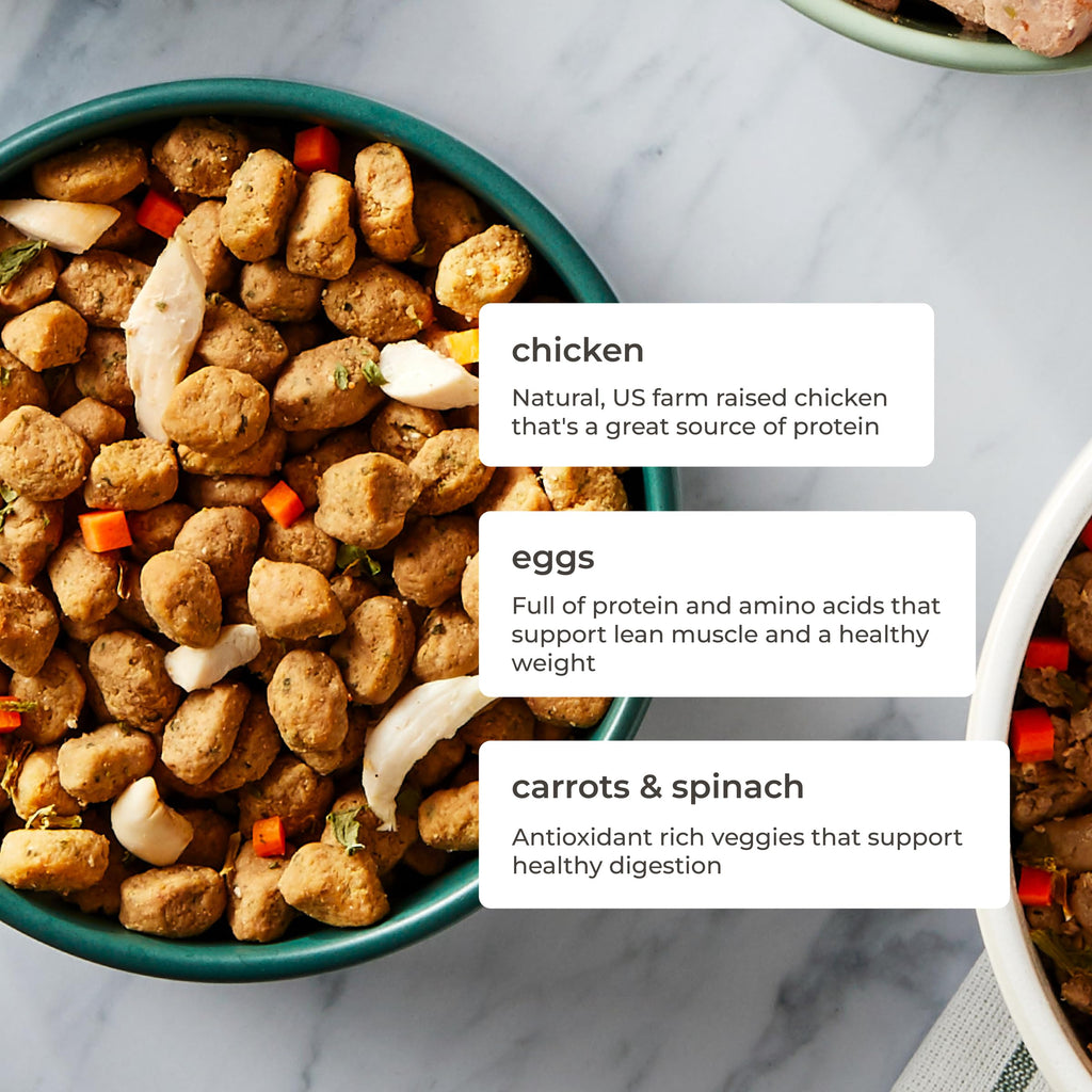 Freshpet Fresh Dog Food, Freshly Roasted Meals, Grain Free Chicken Recipe, 1.75 lb.