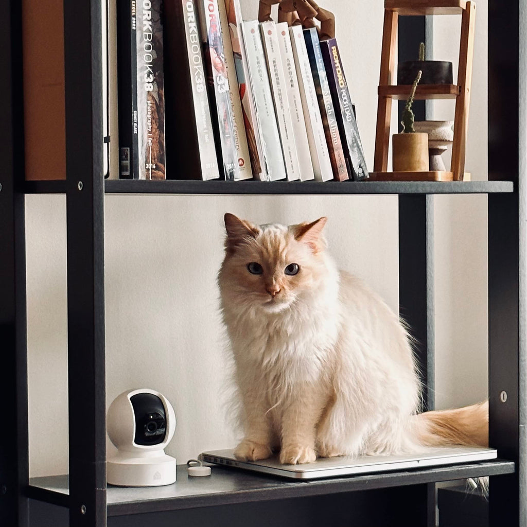 Kasa 1080p Indoor Pan/Tilt Wired Security Camera - Works as a Baby & Pet Monitor, Motion Detection & Tracking, 2-Way Audio, Night Vision, Subscription-Free Local Storage or Optional Cloud, EC70
