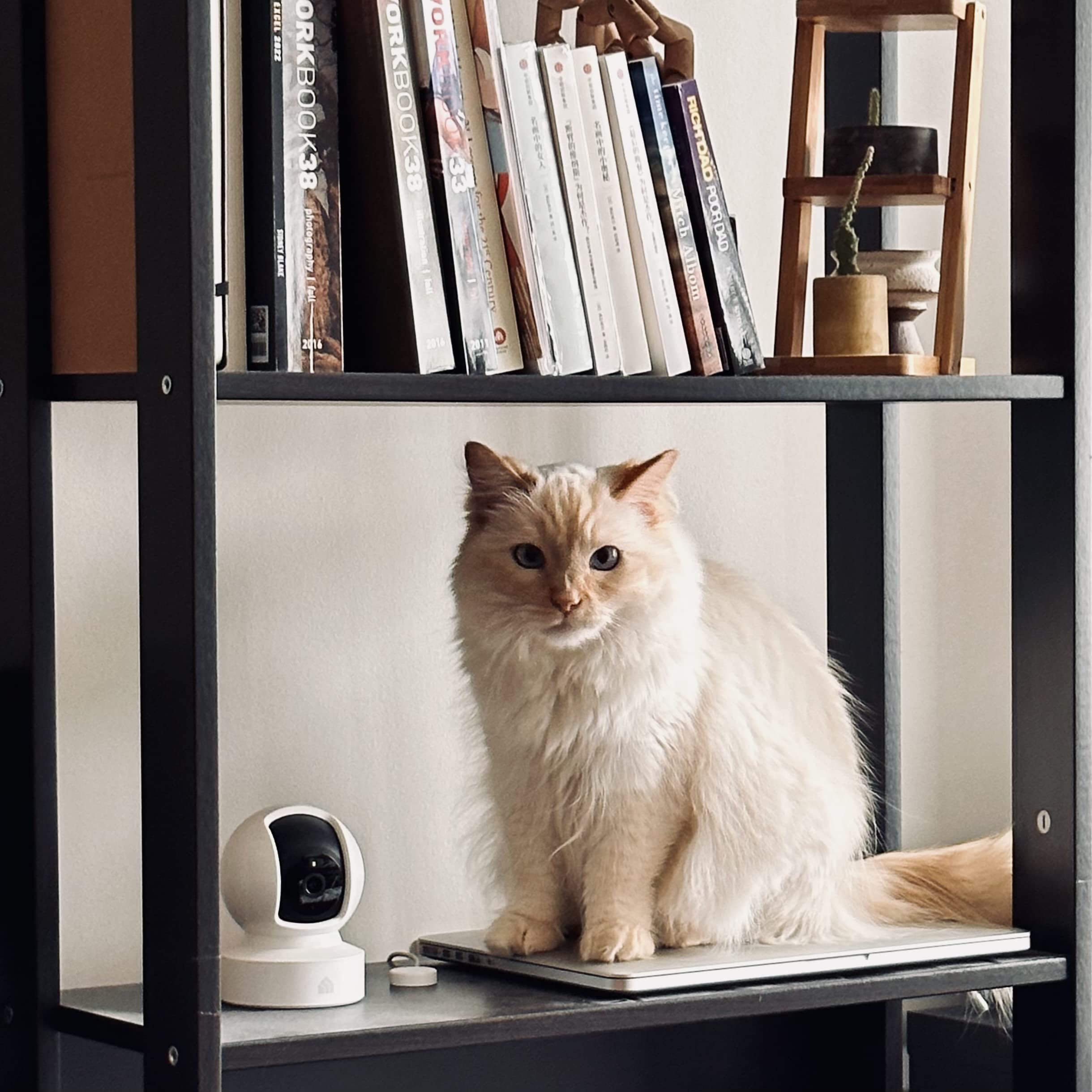 Kasa 1080p Indoor Pan/Tilt Wired Security Camera - Works as a Baby & Pet Monitor, Motion Detection & Tracking, 2-Way Audio, Night Vision, Subscription-Free Local Storage or Optional Cloud, EC70