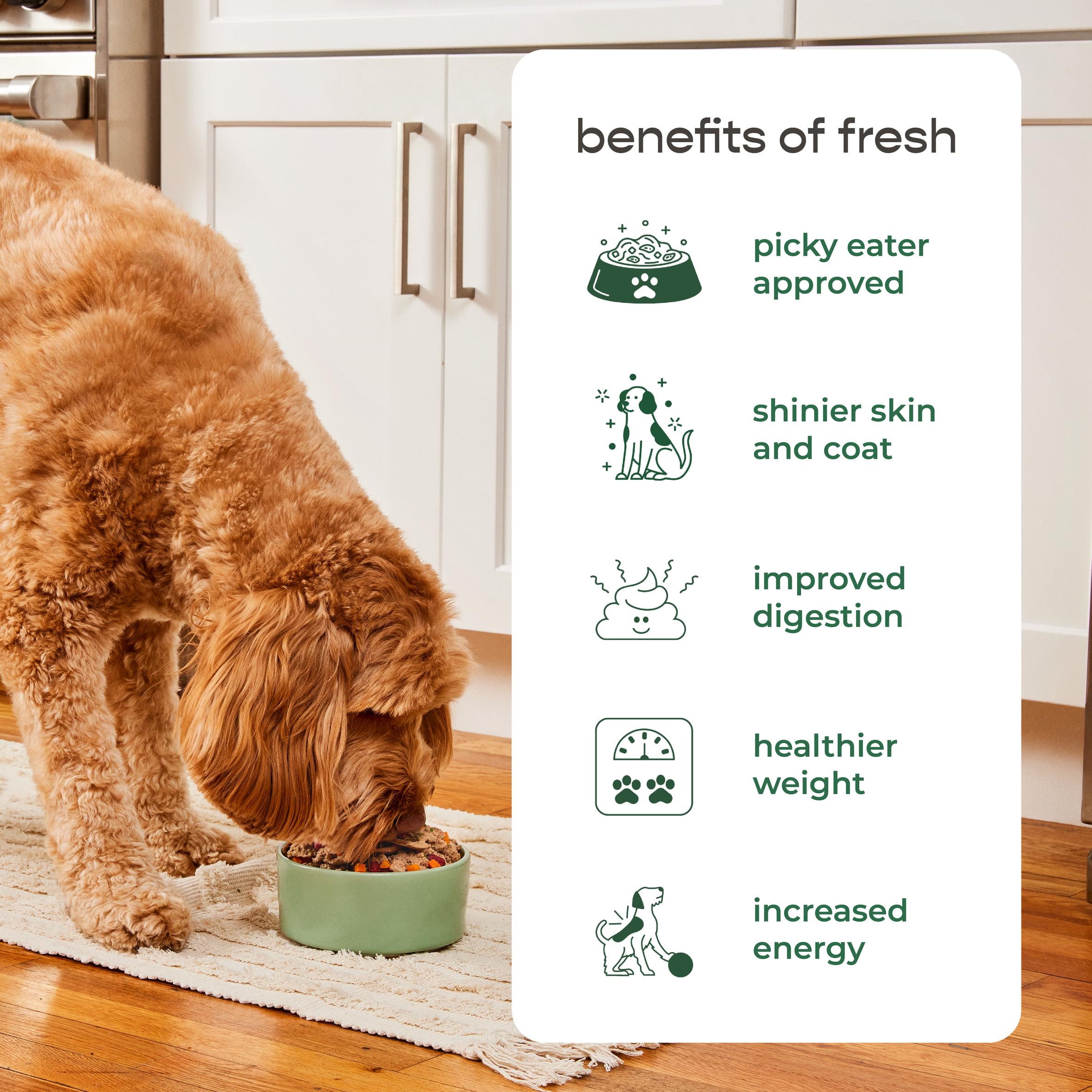 Freshpet Dog Food, Multi-Protein Complete Meal, Chicken, Beef, Egg and Salmon Recipe, 3Lb