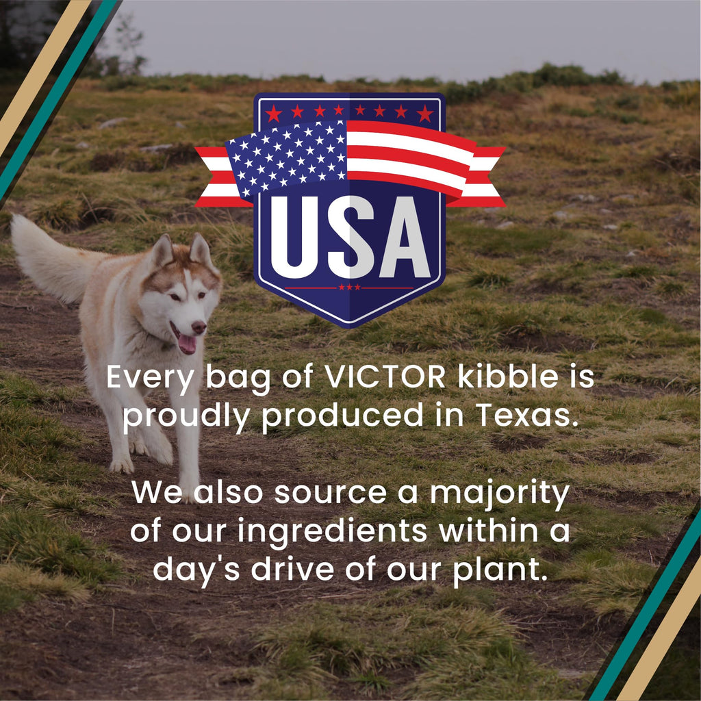 VICTOR Super Premium Dog Food – Hi-Pro Plus Dry Kibble – High Protein Dog Food with 30% Protein – Beef, Chicken, Pork, Fish Meals, Gluten Free - for High Energy and Active Dogs & Puppies, 50lbs