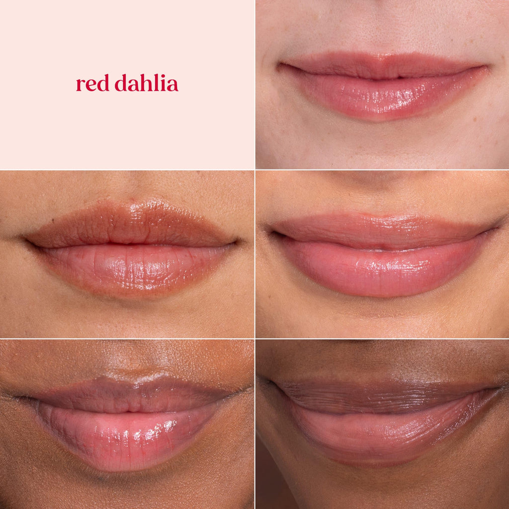 Burt's Bees Lip Tint Balm with Long Lasting 2 in 1 Duo Tinted Balm Formula, Color Infused with Deeply Hydrating Shea Butter for a Natural Looking Buildable Finish, Fiery Red Dahlia (2-Pack)