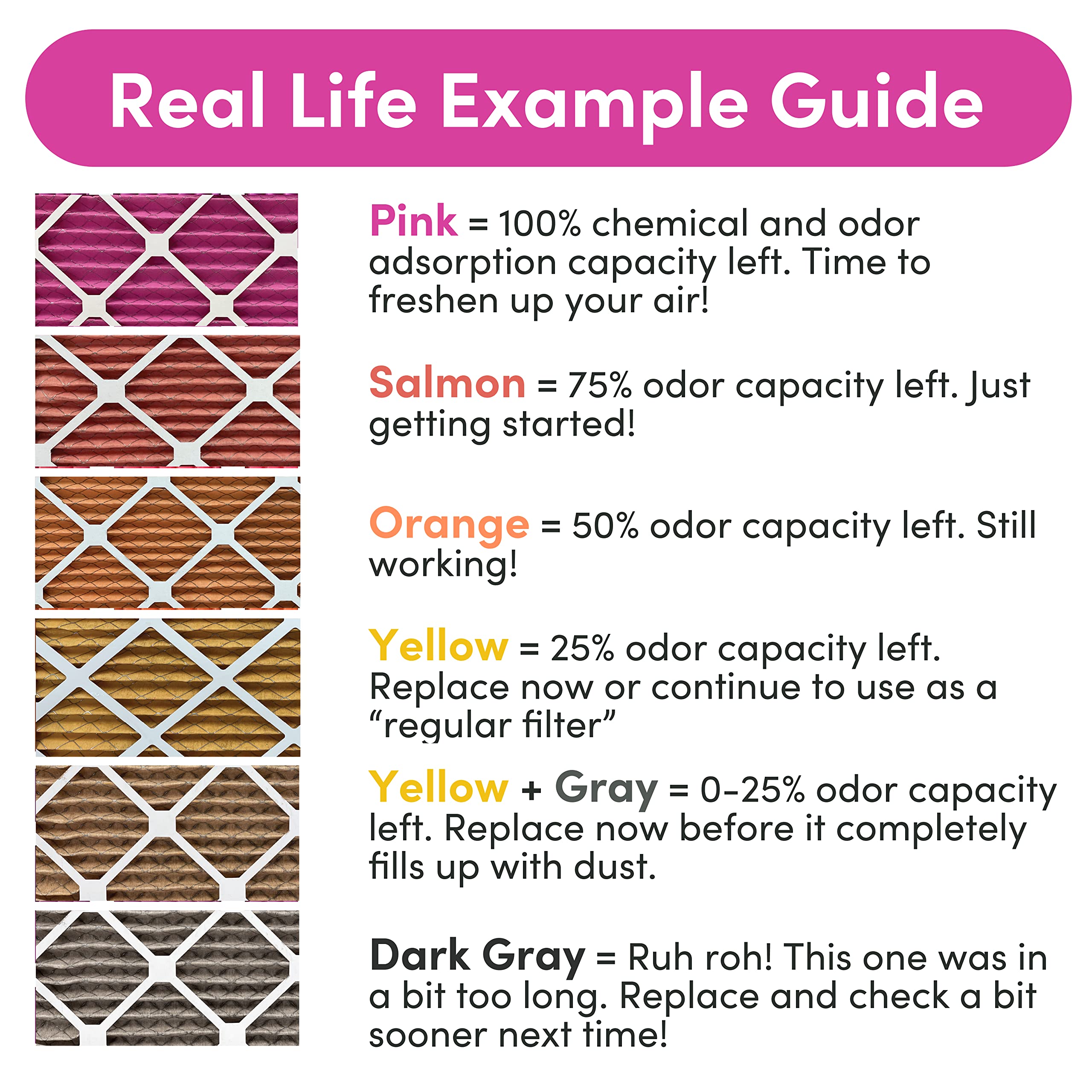 Colorfil 16x25x1 Air Filter (2-Pack) | Made in the USA | Color Changing | Remove Cat and Dog Odor | MERV 8 for Pet Hair Dander and Dust | 15.5"x24.5"x0.75" Exact Size