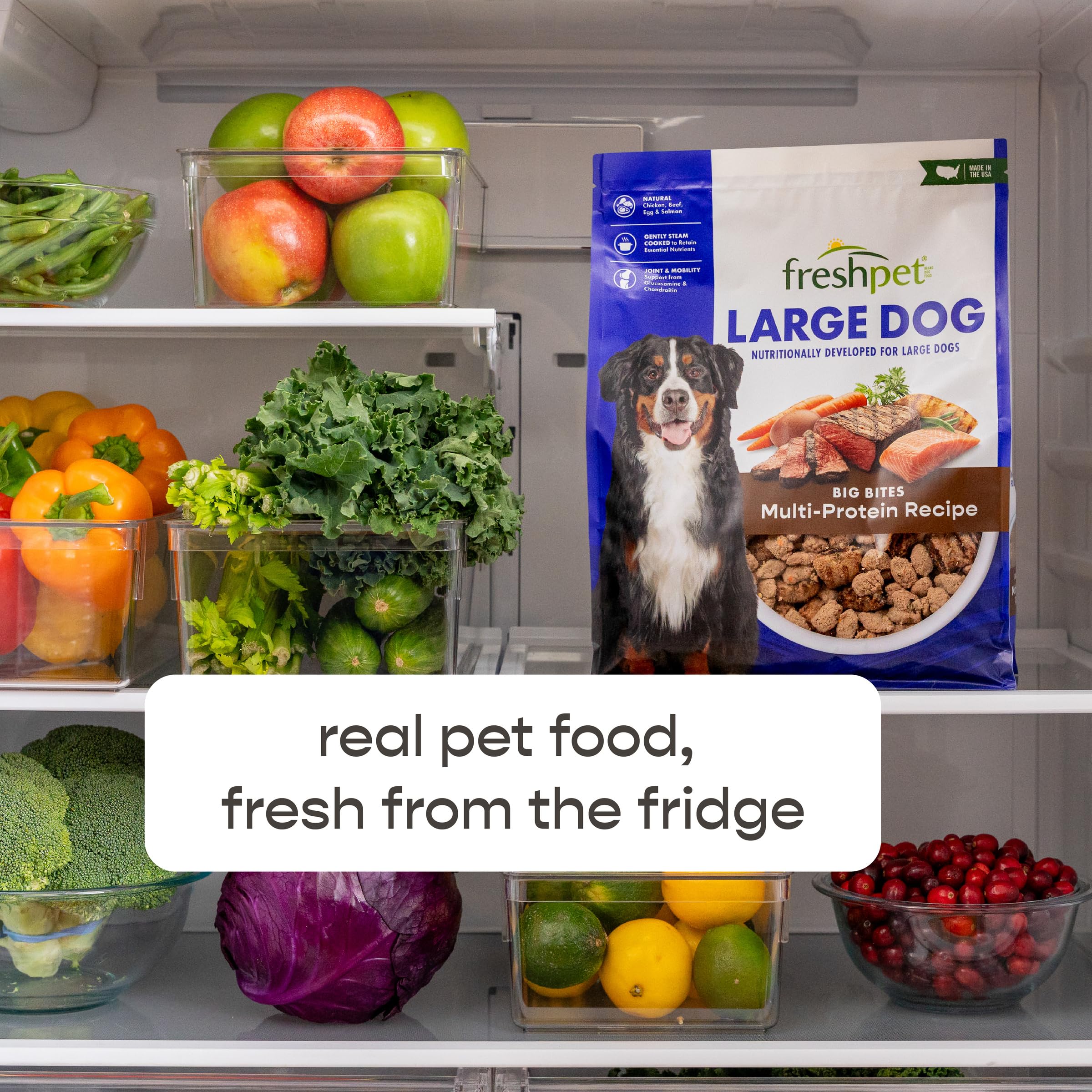 Freshpet Fresh Dog Food, Large Dog Multi-Protein: Chicken, Beef, Egg & Salmon Recipe, 5 lb.