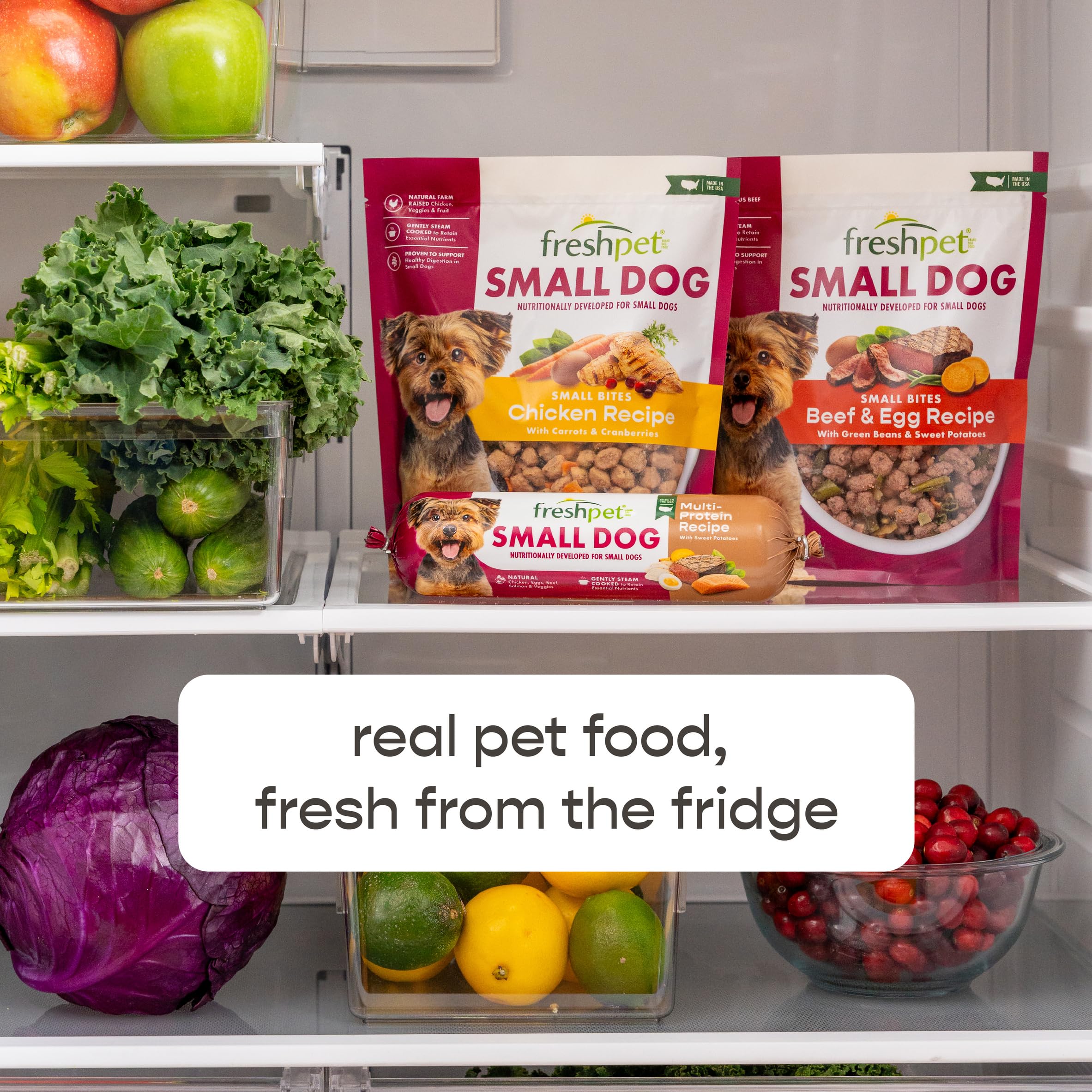 Freshpet Fresh Dog Food, Slice & Serve Roll, Small Dog Grain Free Chicken & Turkey Recipe, 1 lb.