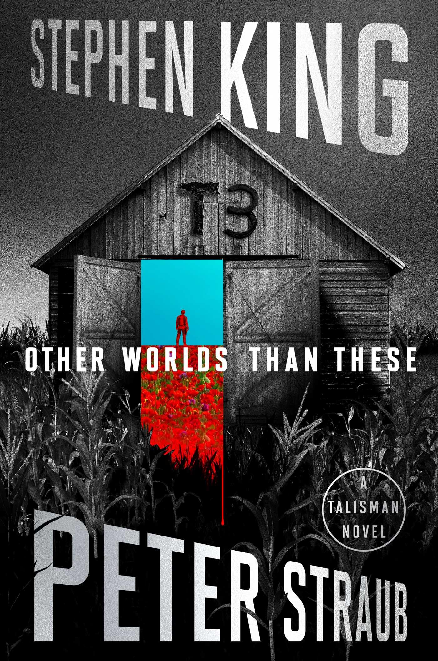 Other Worlds Than These: A Talisman Novel (The Talisman Trilogy)