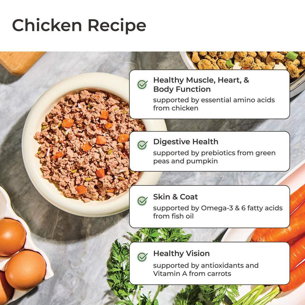 Freshpet Fresh Dog Food, Homestyle Creations Chicken & Turkey Recipe, 2lb