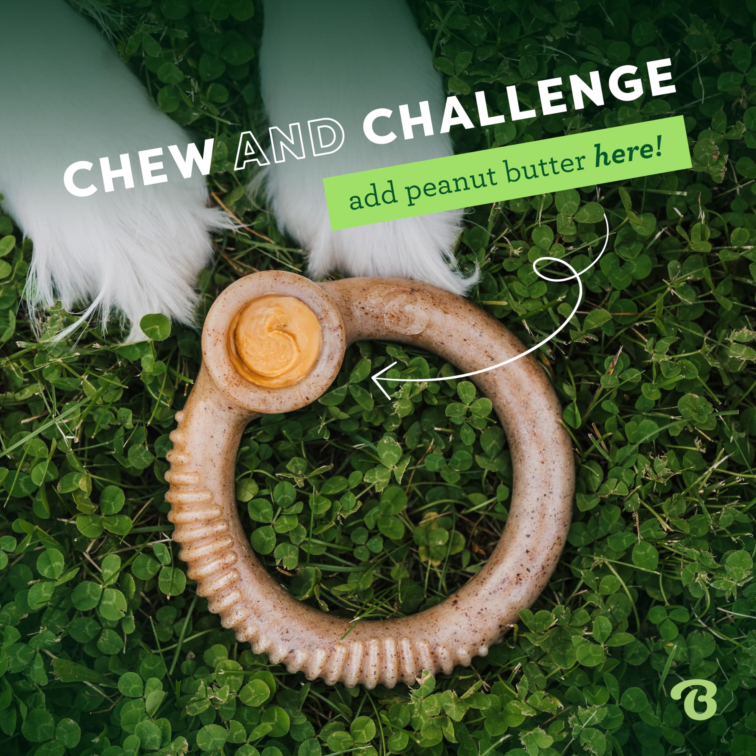 Benebone Ring Durable Dog Chew Toy for Aggressive Chewers, Real Bacon, Made in USA, Medium
