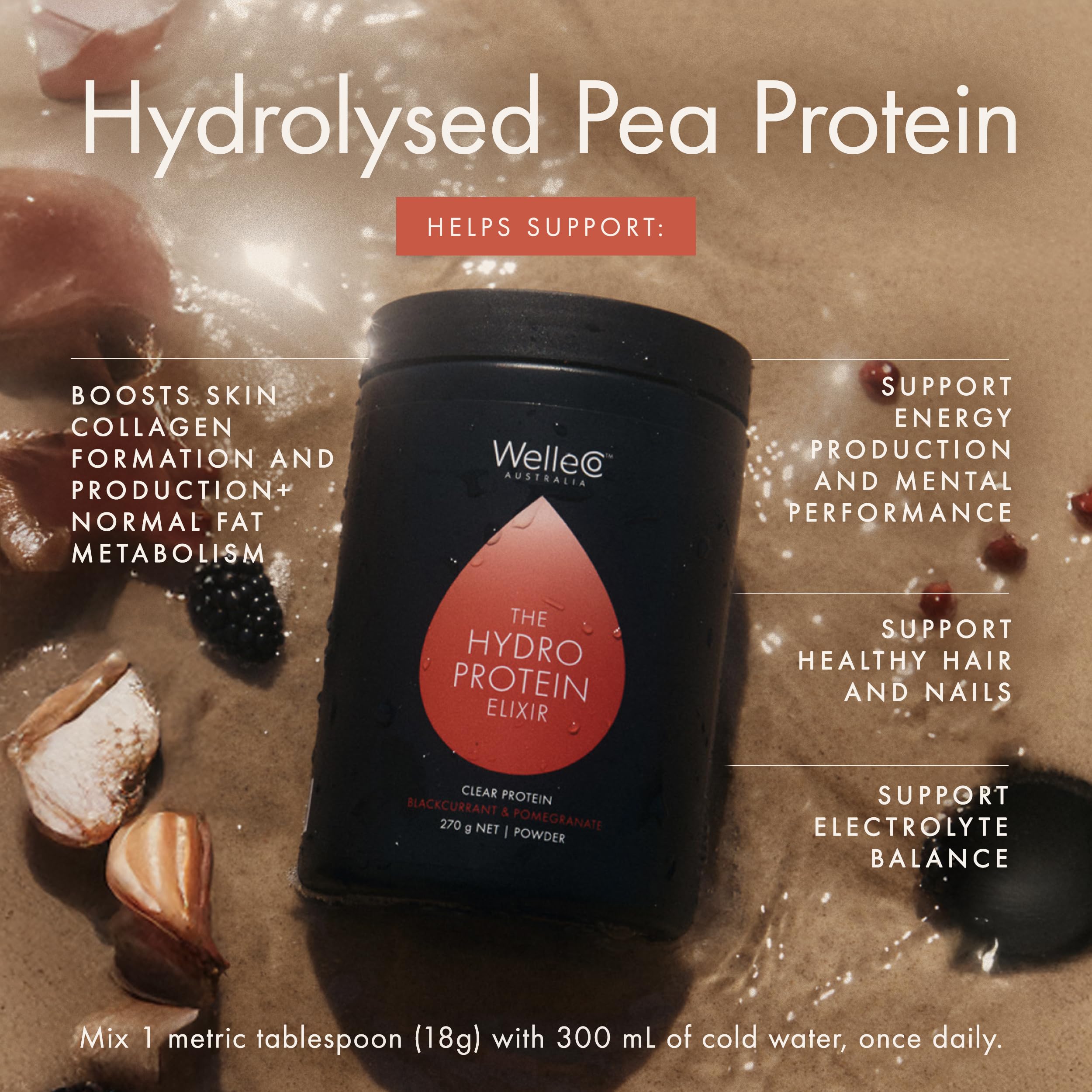 WelleCo HydroProtein Elixir, Potassium Electrolyte Powder with 15g Vegan Protein for Energy, Healthy Hair, Skin & Nails, Easy to Digest Powdered Electrolytes, Black Currant & Pomegranate, 9.5oz Jar